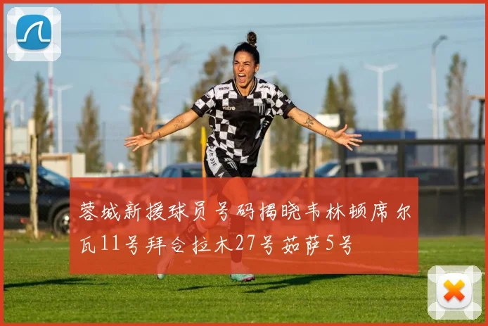 蓉城新援球员号码揭晓韦林顿席尔瓦11号拜合拉木27号茹萨5号
