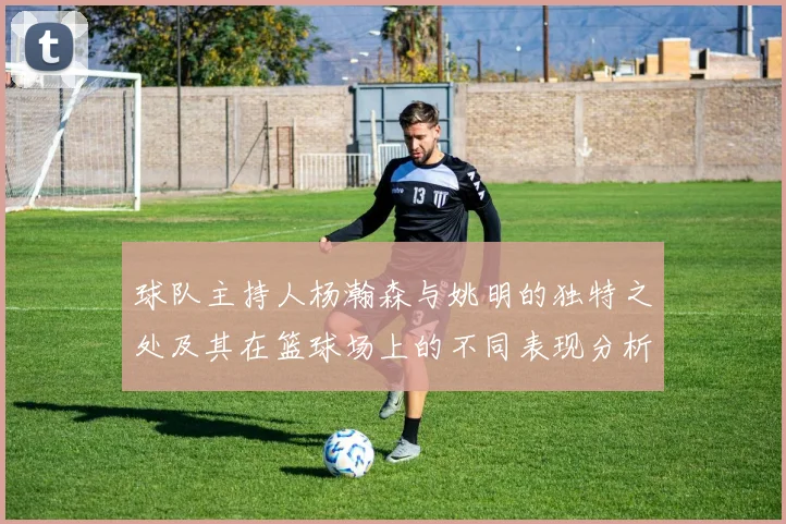 球队主持人杨瀚森与姚明的独特之处及其在篮球场上的不同表现分析